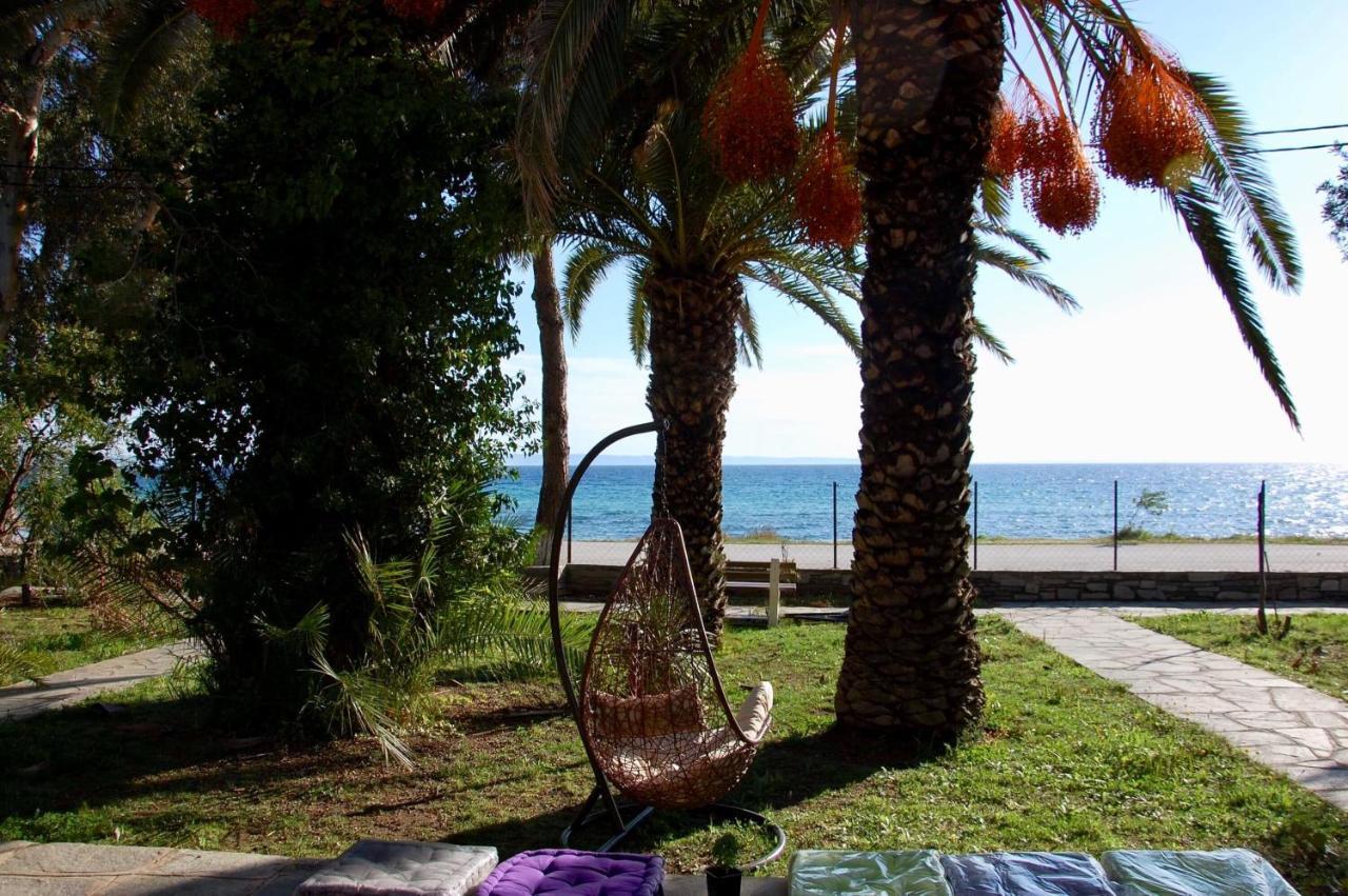 Villa Miranda Nikiti  Exteriér fotografie