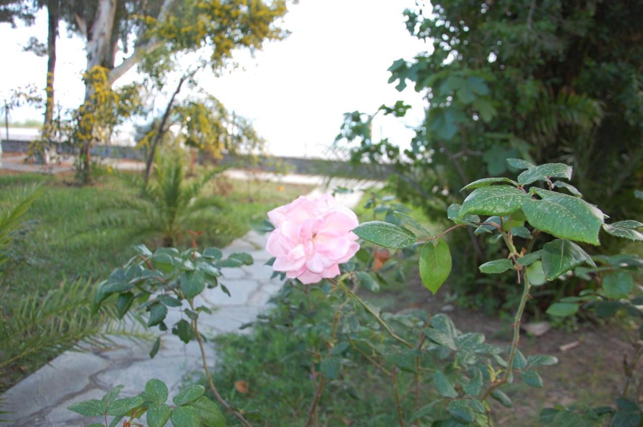 Villa Miranda Nikiti  Exteriér fotografie