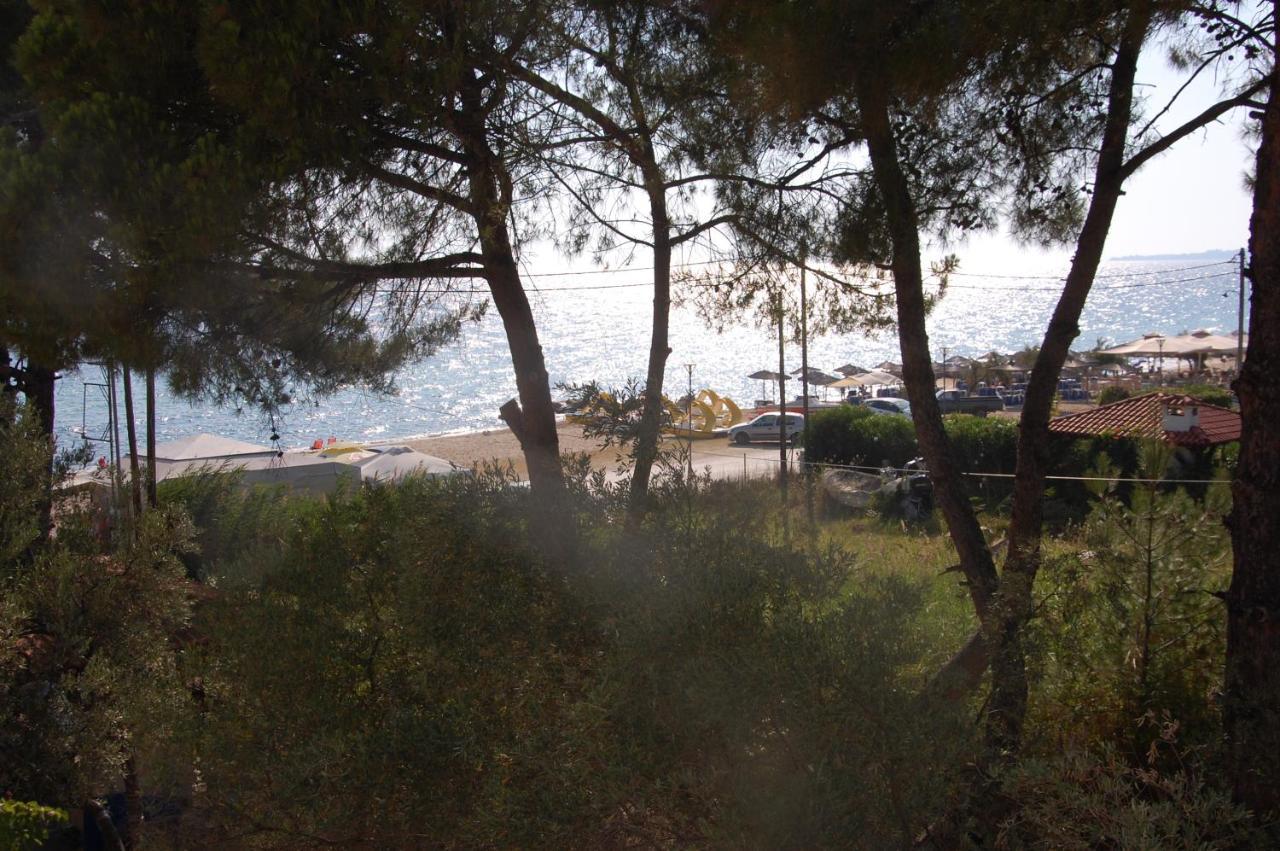 Villa Miranda Nikiti  Exteriér fotografie