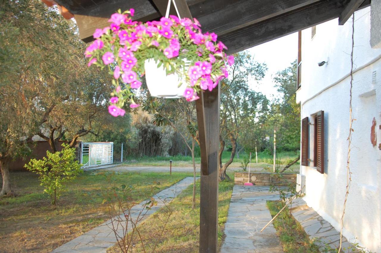 Villa Miranda Nikiti  Exteriér fotografie